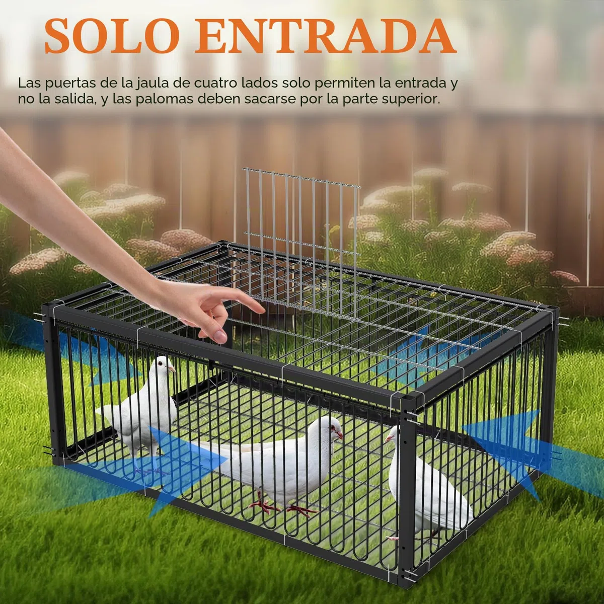 Jaula para palomas, 60 cm, para recoger codornices (negro)