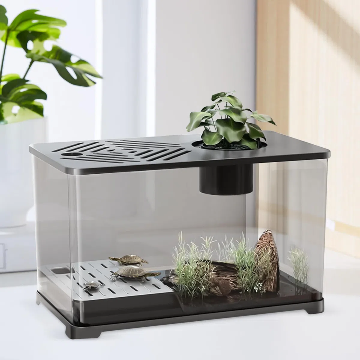 Betta - Set de acuario grande para peces, diseño panorámico moderno