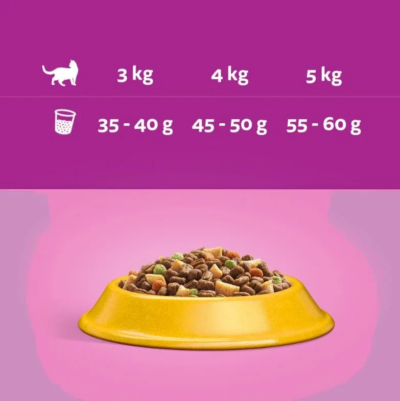 Whiskas Alimento seco estéril para adultos 1+ con pollo en caja, 4 x 800 g (4 paquetes) - Alimento seco para gatos esterilizados para adultos o gatos castrados