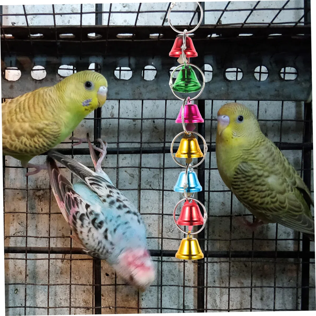 BESPORTBLE 12piezas Juguete para Aves Campanas Cuerda De Juguete para Periquitos y Loros Colgante De Diversión para Jaulas De Aves para Masticar y Jugar