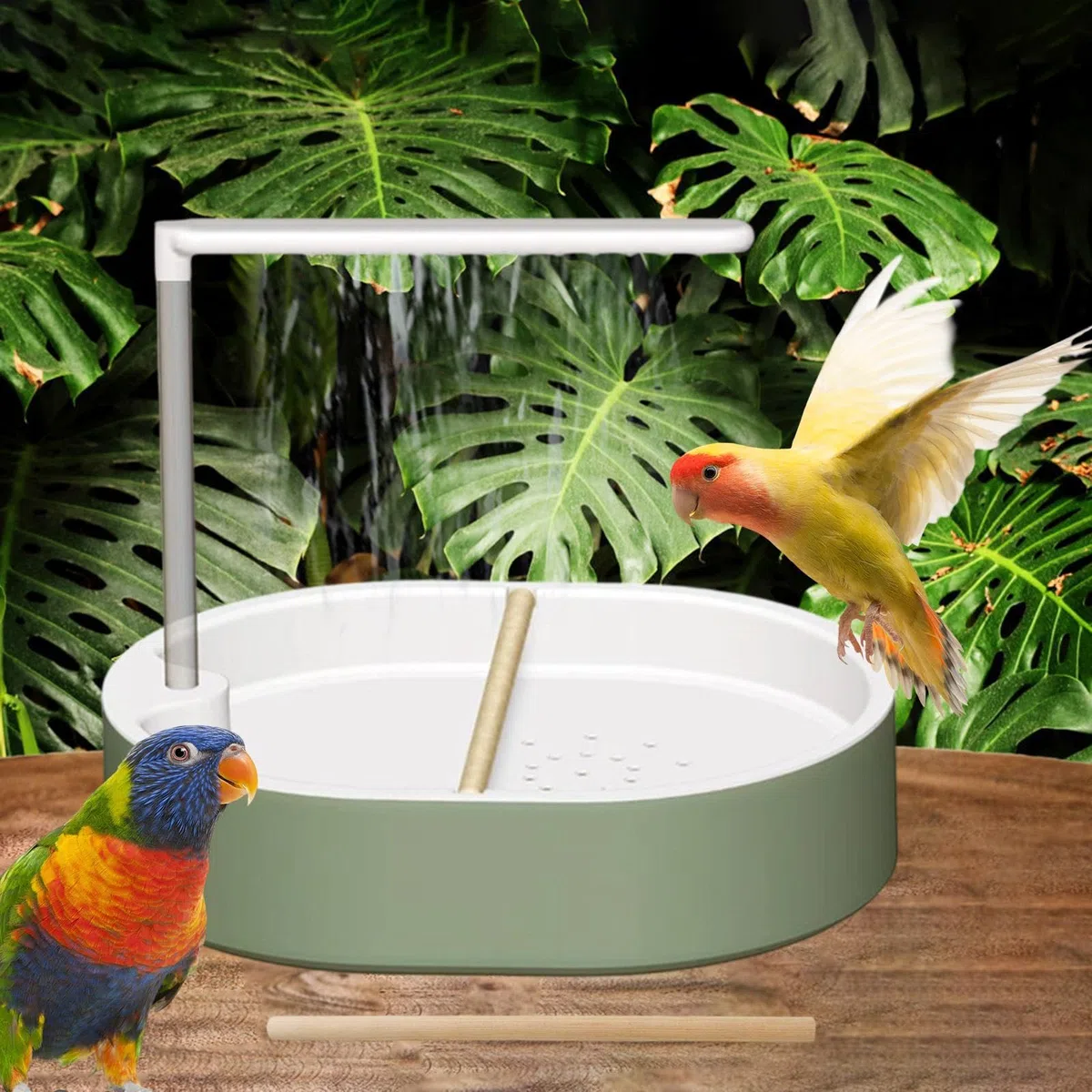 Gralara Bañera automática para Loros, Ligera y con conexión USB. Ideal para periquitos, cacatúas y Loros africanos, Blanco