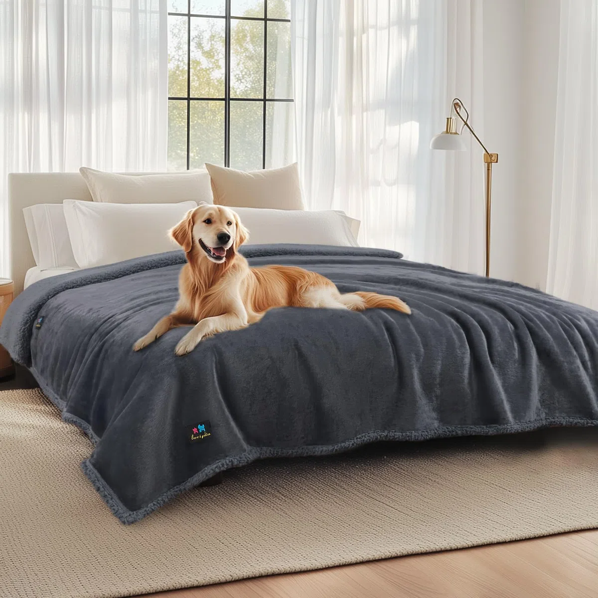 luciphia Manta impermeable para perros, mullida, manta de forro polar para mascotas, manta lavable para exteriores para perros y gatos, manta protectora para sofá, cama, asiento de coche, muebles