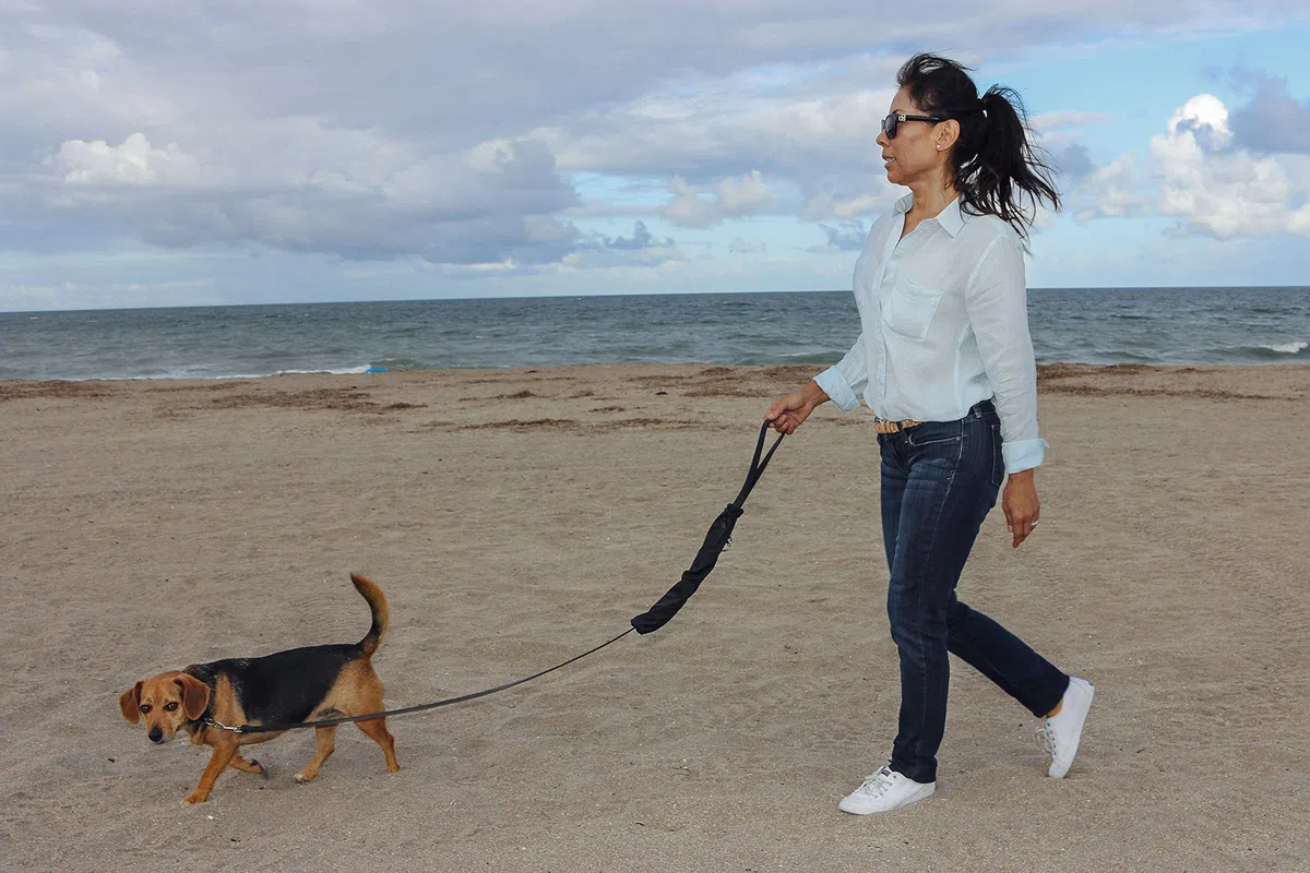 K9 Caca Caddy | Transportador de basura multifuncional para perros y bolsa de basura para perros con compartimento separado para guardar objetos comunes diversos, como llaves, dinero en efectivo o