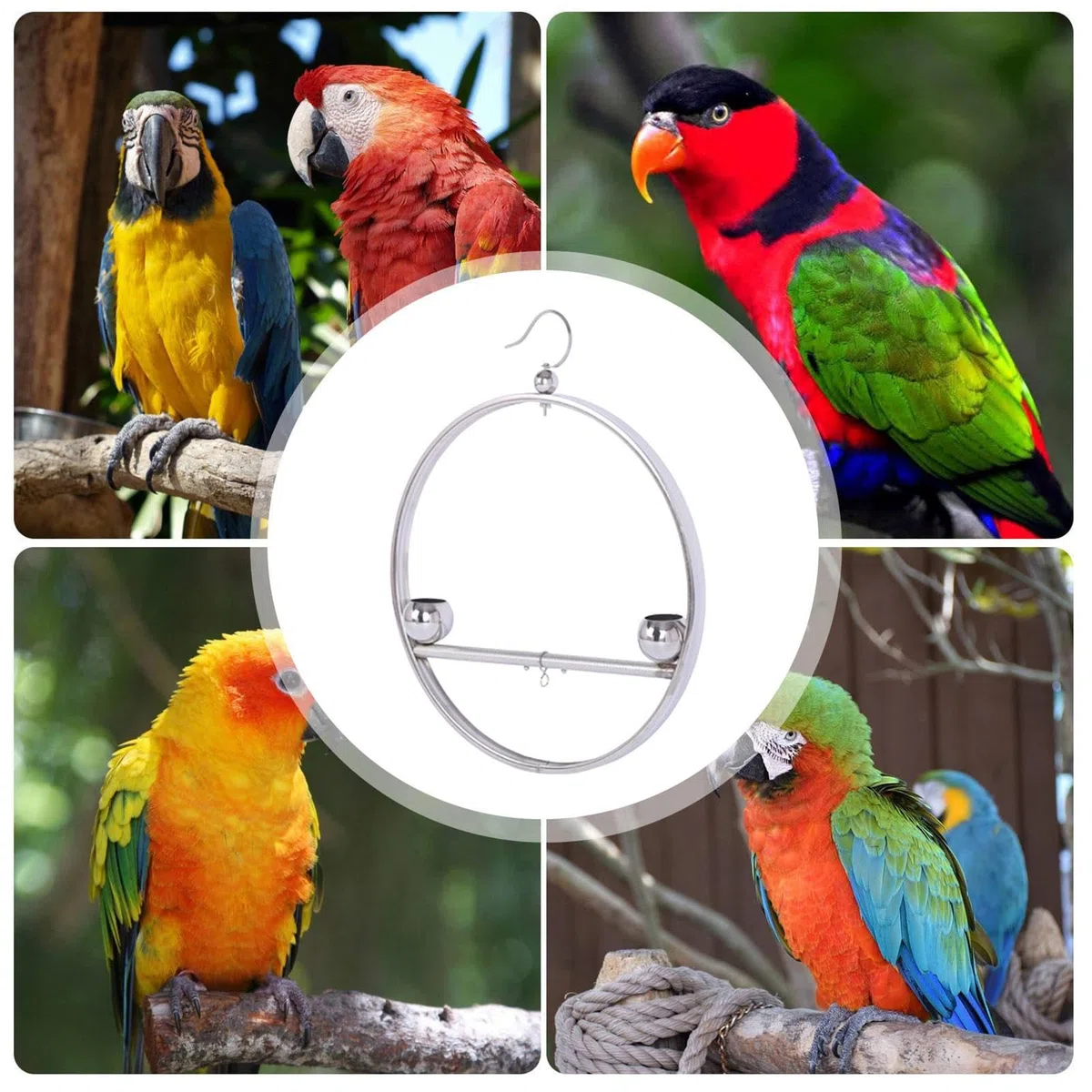 Perchas para Aves de Interior Estante Decorativo Colgante De Acero | Percha Circular De Entrenamiento Con Gancho Y Comederos Para Jaulas de Mascotas Interior Exterior Ventana Balcón Jar