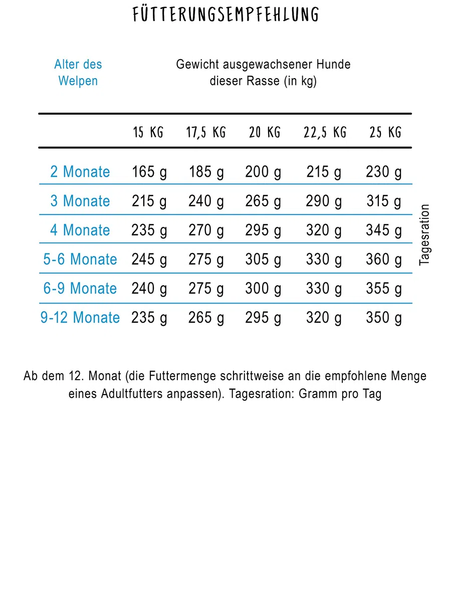 bosch HPC Medium Junior | Alimento seco para perros de razas medianas | 1 x 15 kg