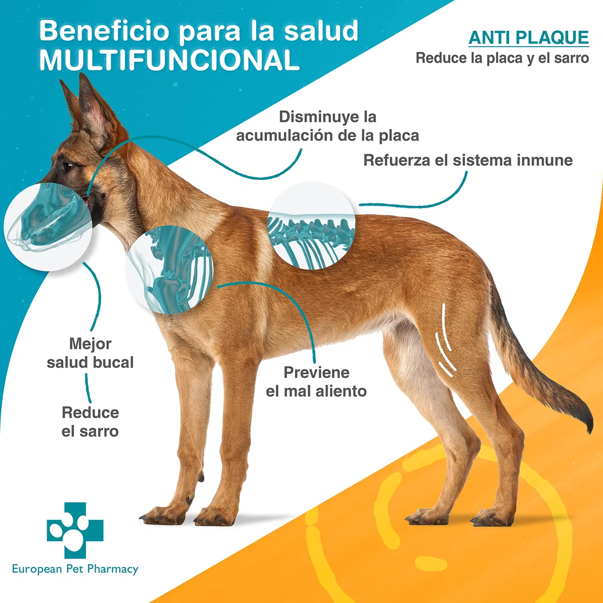 European Pet Pharmacy ANTI PLAQUE 335g – Limpiador Antisarro Perro para Eliminar Sarro Perros y Gatos – Higiene Bucal para Perros, Ayuda a Combatir Mal Aliento de Perros y Gatos – Puro y Natural