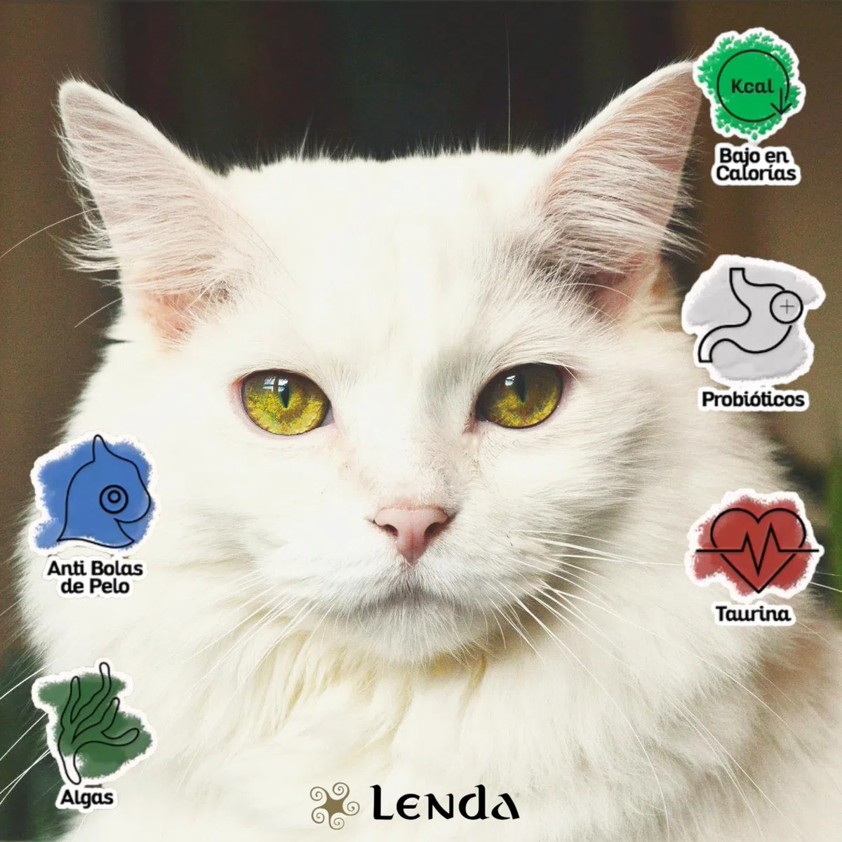 Lenda Gato Adult Light & Sterilized 7 kg Grain Free - Pienso para Gatos Esterilizados sin Cereales - Comida Light para Gato Adulto - Pienso Natural Bajo en Calorias y Grasas