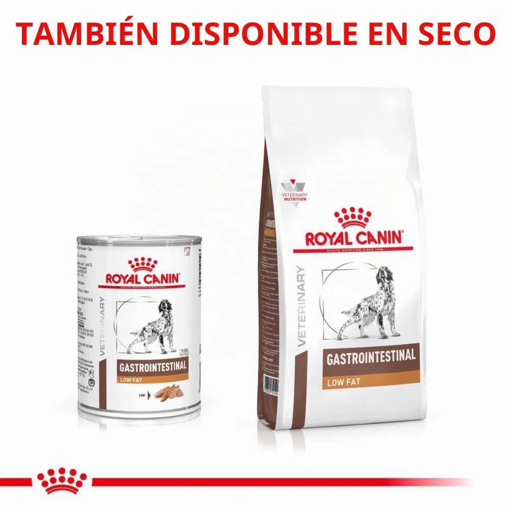 Royal Canin Veterinary Gastrointestinal Low Fat Mousse | 12 x 420 g | Pienso Completo para Perros Adultos | para el Apoyo digestivo y la obesidad.
