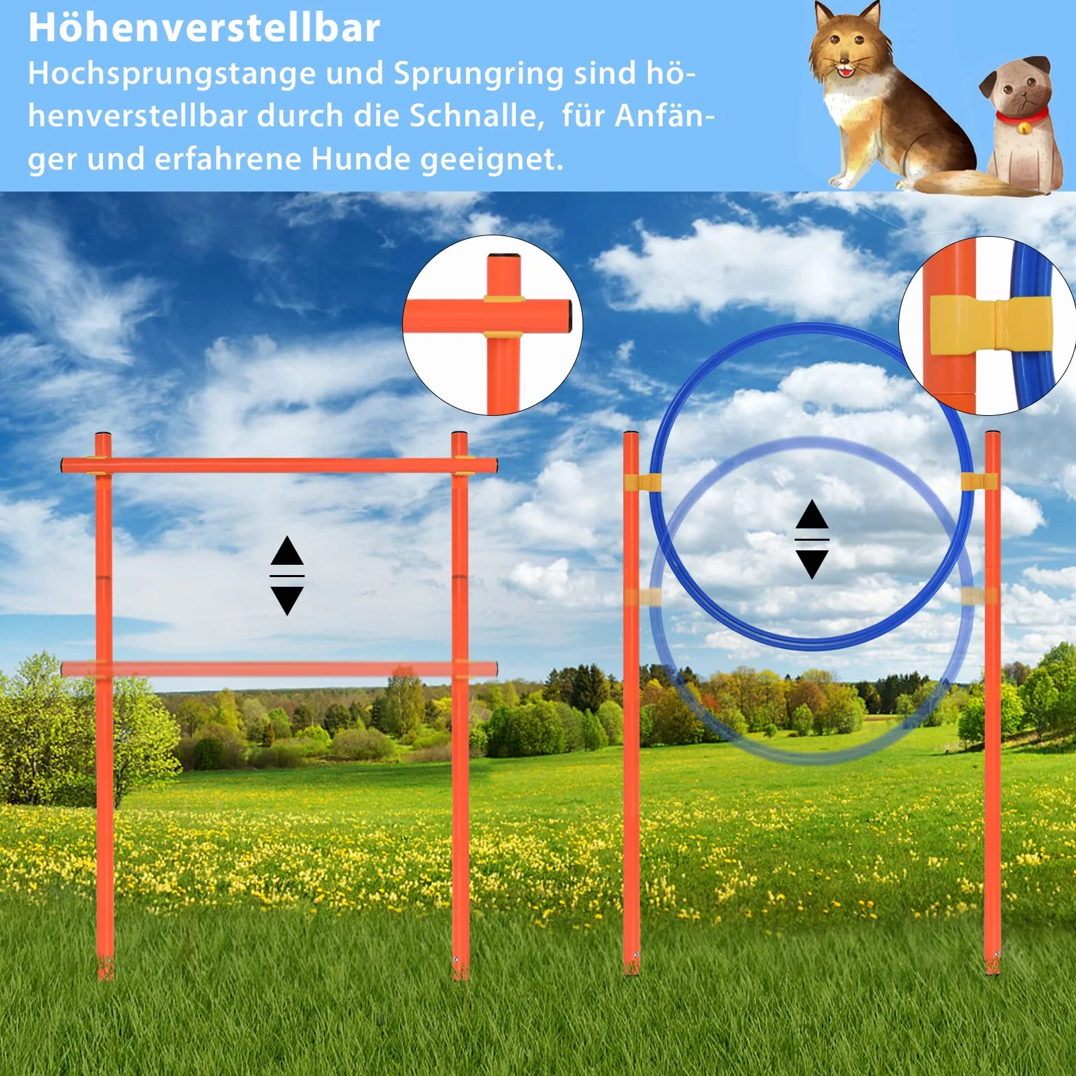 Agility Set de entrenamiento para perros con túnel para perros, obstáculos de altura ajustable, anillo de salto y varillas, juego de entrenamiento para mascotas, incluye bolsa de transporte
