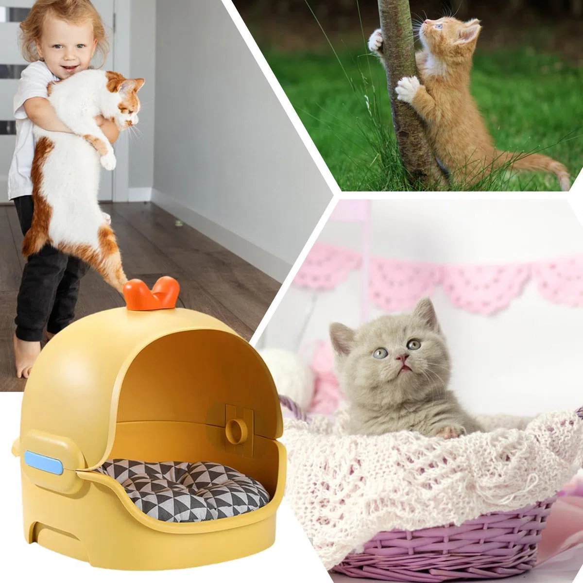 Cueva para Gatos Caseta Impermeable y Desmontable
