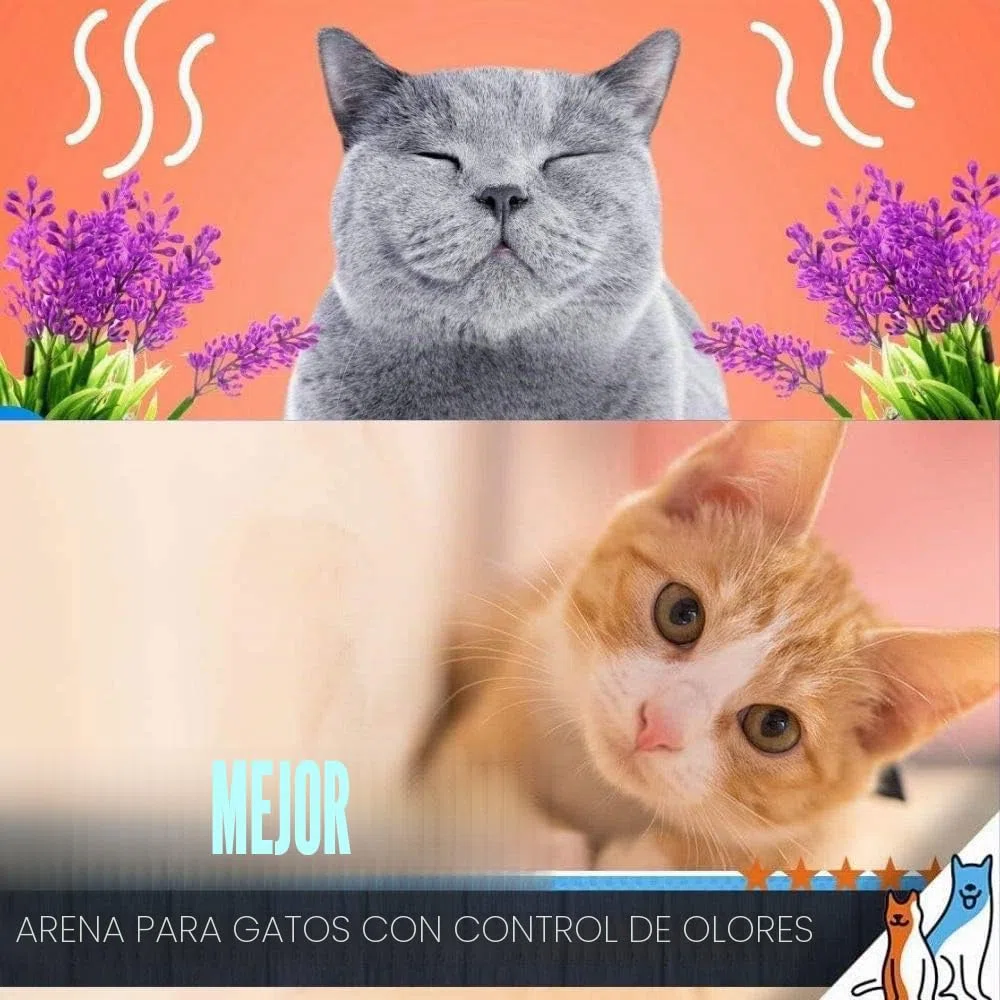 Sanicat Ultra Clumping - Arena para gatos, 2 x 10 L, natural, fuerte, desodorante sin polvo, agradable aroma fresco de talco de bebé