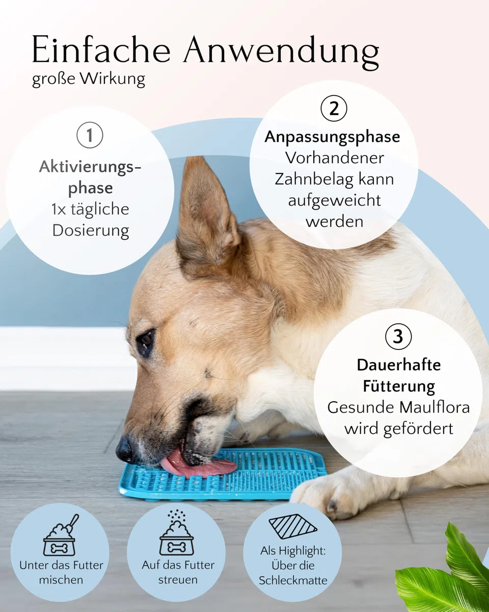 FAVLY – Polvo dental para perros 250 g – Complemento alimenticio en polvo dental para perros contra el mal olor y la placa dental – con Clorella orgánica y perejil – sin cereales ni aditivos