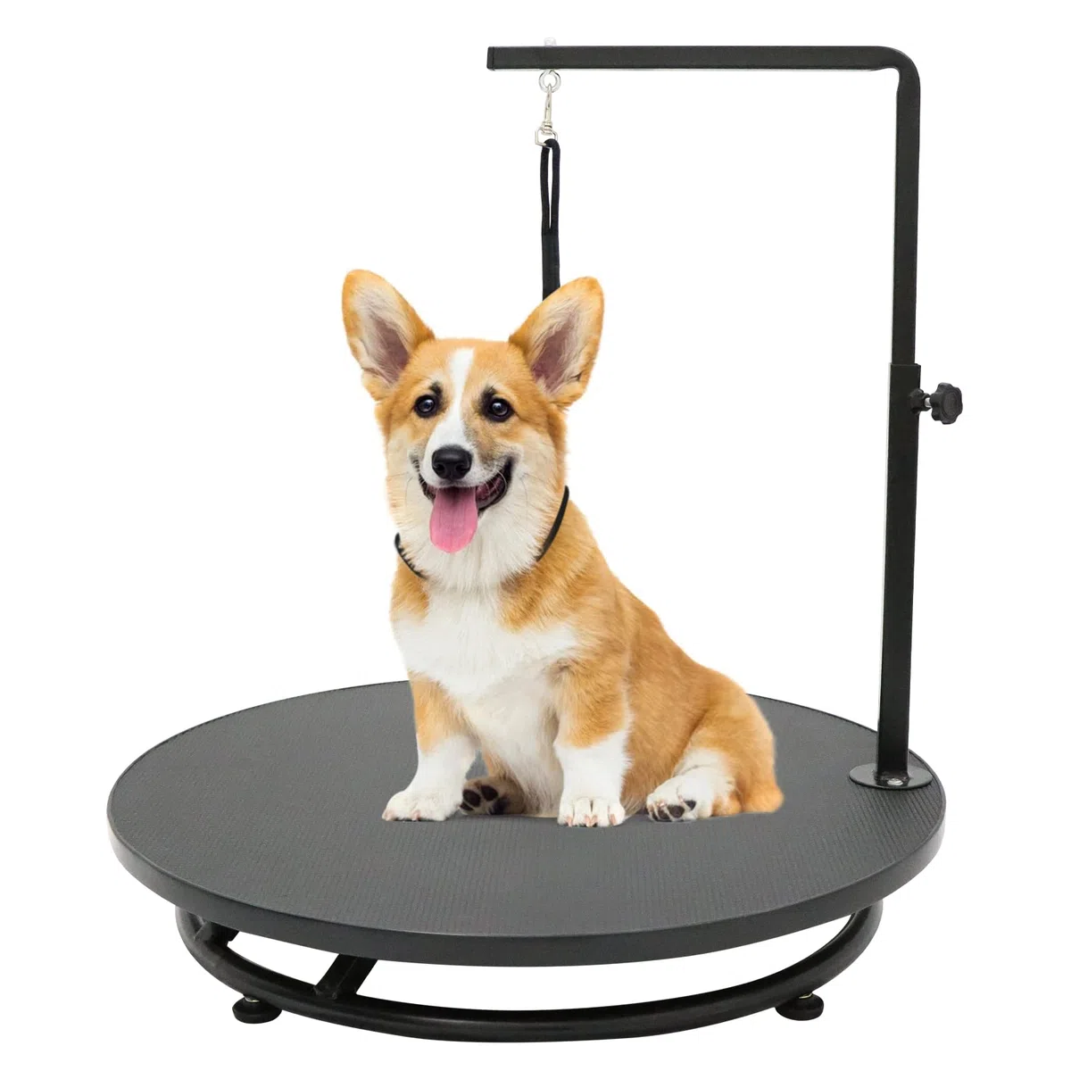 Kalolary Mesa de aseo para mascotas de 24 pulgadas con lazo, mesa de aseo para perros giratorios de 360 ° de altura ajustable para perros pequeños, estación de mesa de spa para mascotas en casa