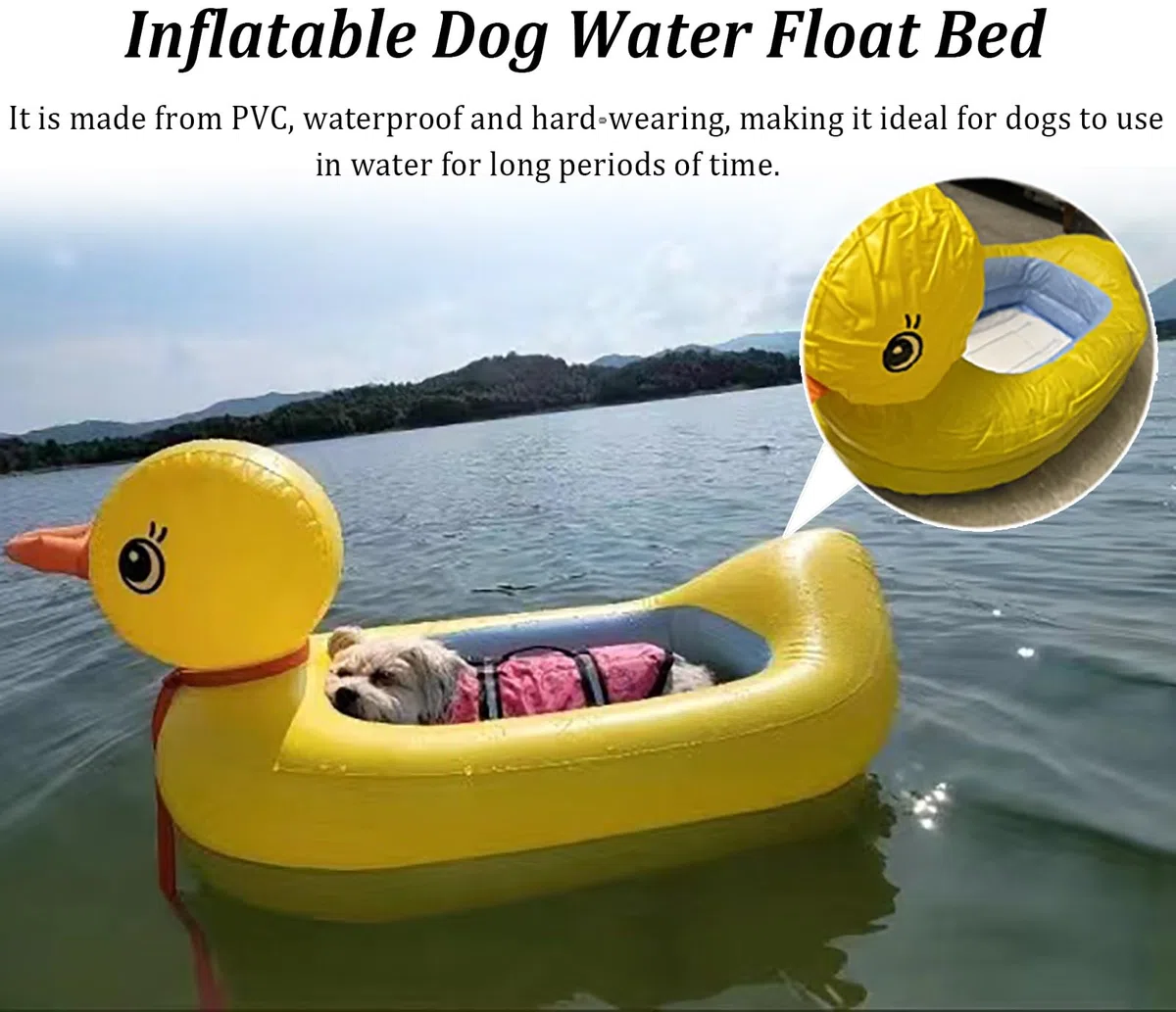 Rampa Piscina para Perros Cama Flotante para Perros para la Piscina, Rampa Perros Bomba