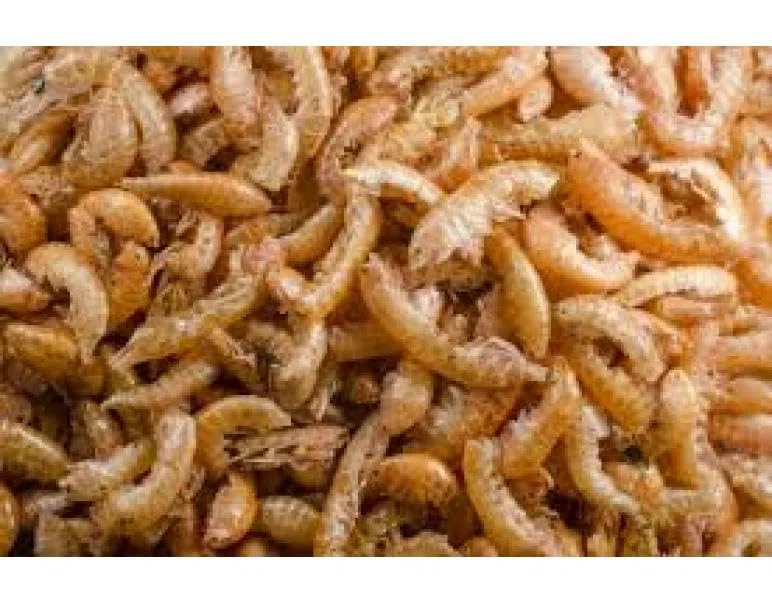 GAMMARUS - GAMBAS ALIMENTO Natural para Tortugas Bolsa 1200gr