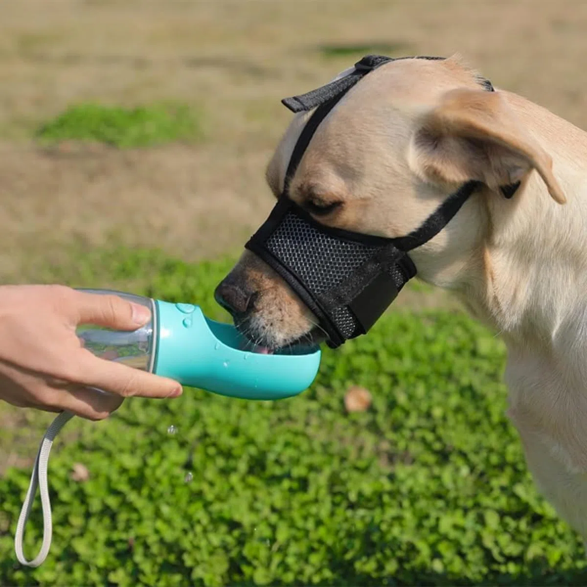Bozal para perro, antimordeduras y ladridos masticables para perros pequeños, medianos y grandes. Correa ajustable de malla de aire transpirable. Bozal suave para perro, bozal bebible para cachorros,