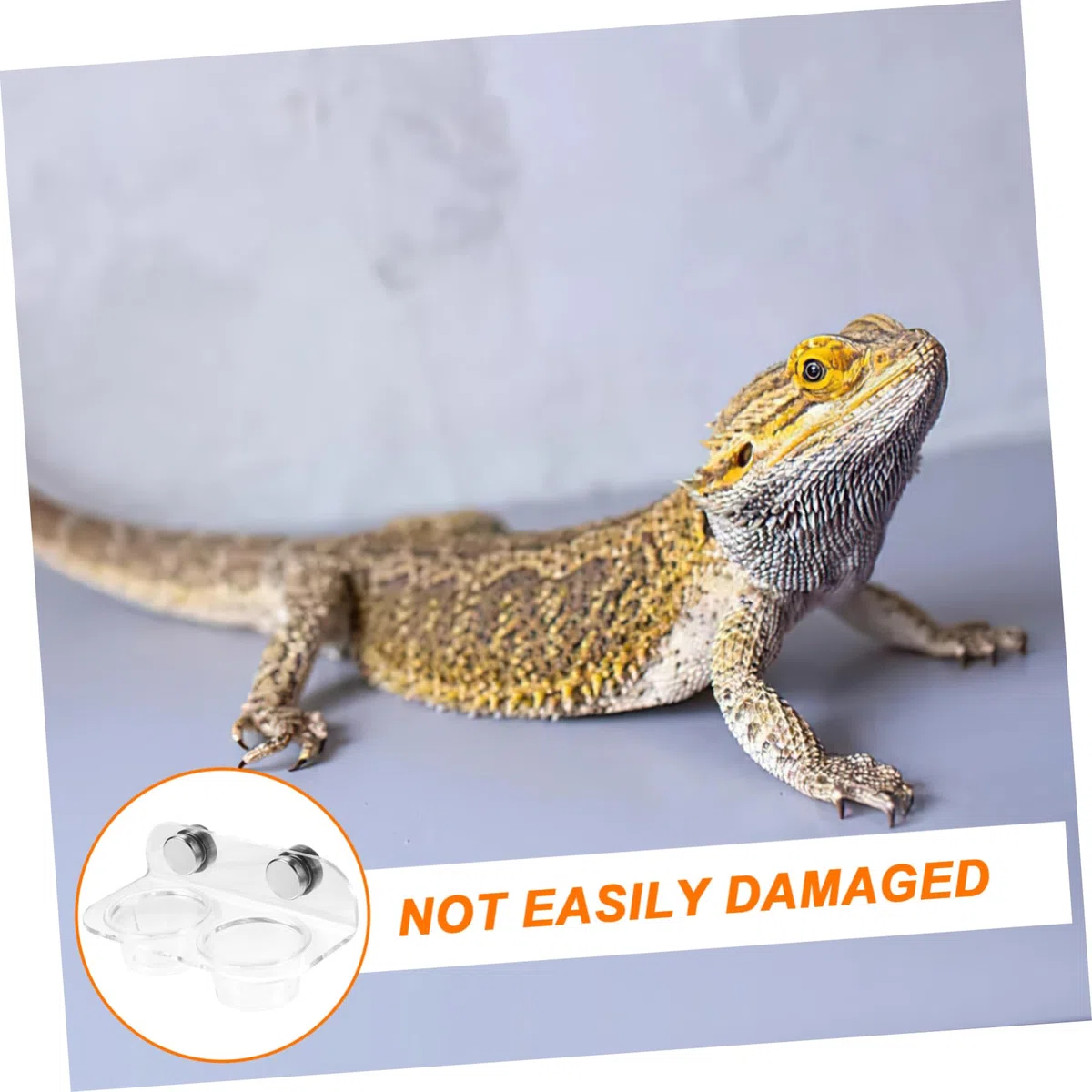 3juegos Cuenco De Agua Magnético para Reptiles Comedero para Gecko y Tortuga Plato Duradero y Fácil De Limpiar para Terrario y Alimentación De Pequeños Reptiles