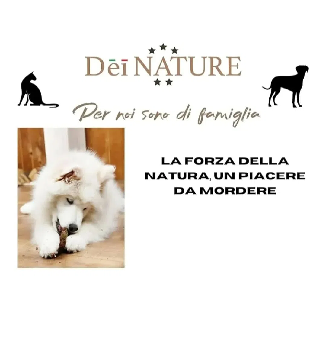 Cuernos de ciervo para perros enteros – 2 unidades talla L – masticativo natural – Fortalece la higiene bucal – Resistentes y duraderos – Disponibles en todas las tallas visita nuestra