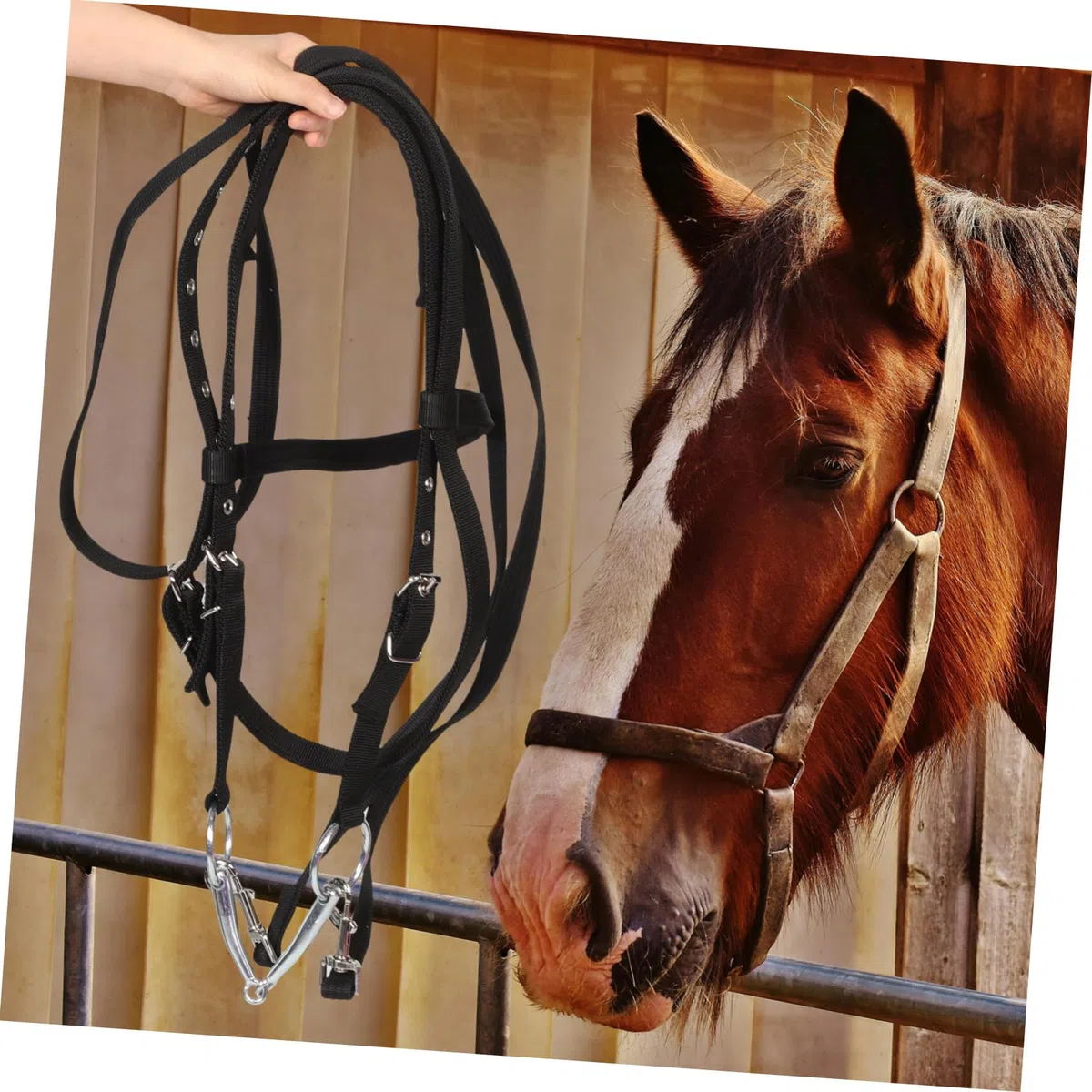 De Nylon para Caballo Cuerda De Entrenamiento Resistente Útil para Equitación y Paseos Diseño Elegante y Práctico para y