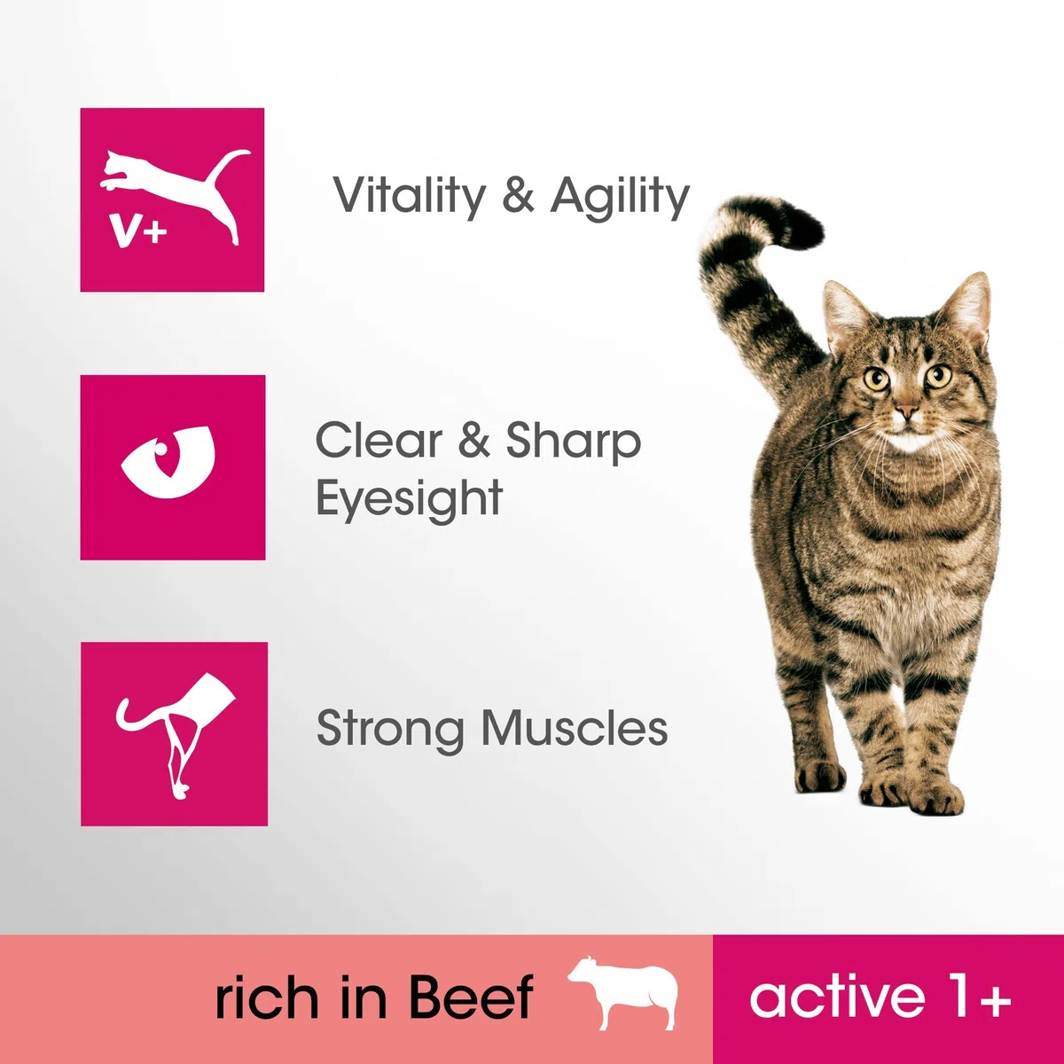 Adult 1+ – Alimento seco para Gatos Adultos a Partir de 1 año – bovino – Apoya la vitalidad – 7 kg