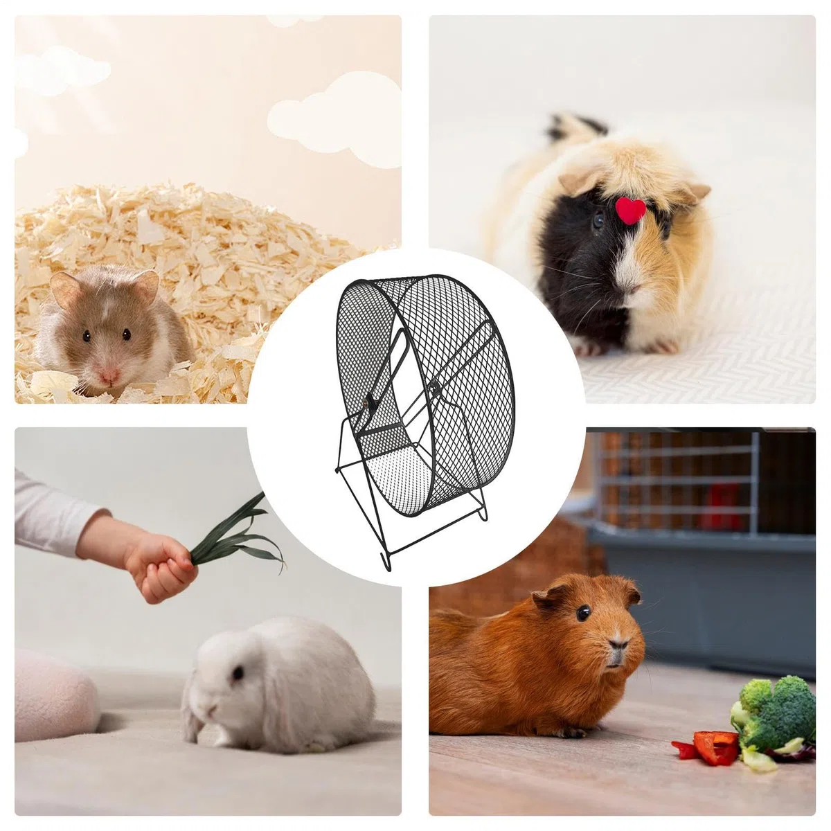 Rueda silenciosa para hámster, ruedas de ejercicio de animales pequeños, rueda de correr para hámster, juguetes divertidos para hámsteres, ratones, jerbos