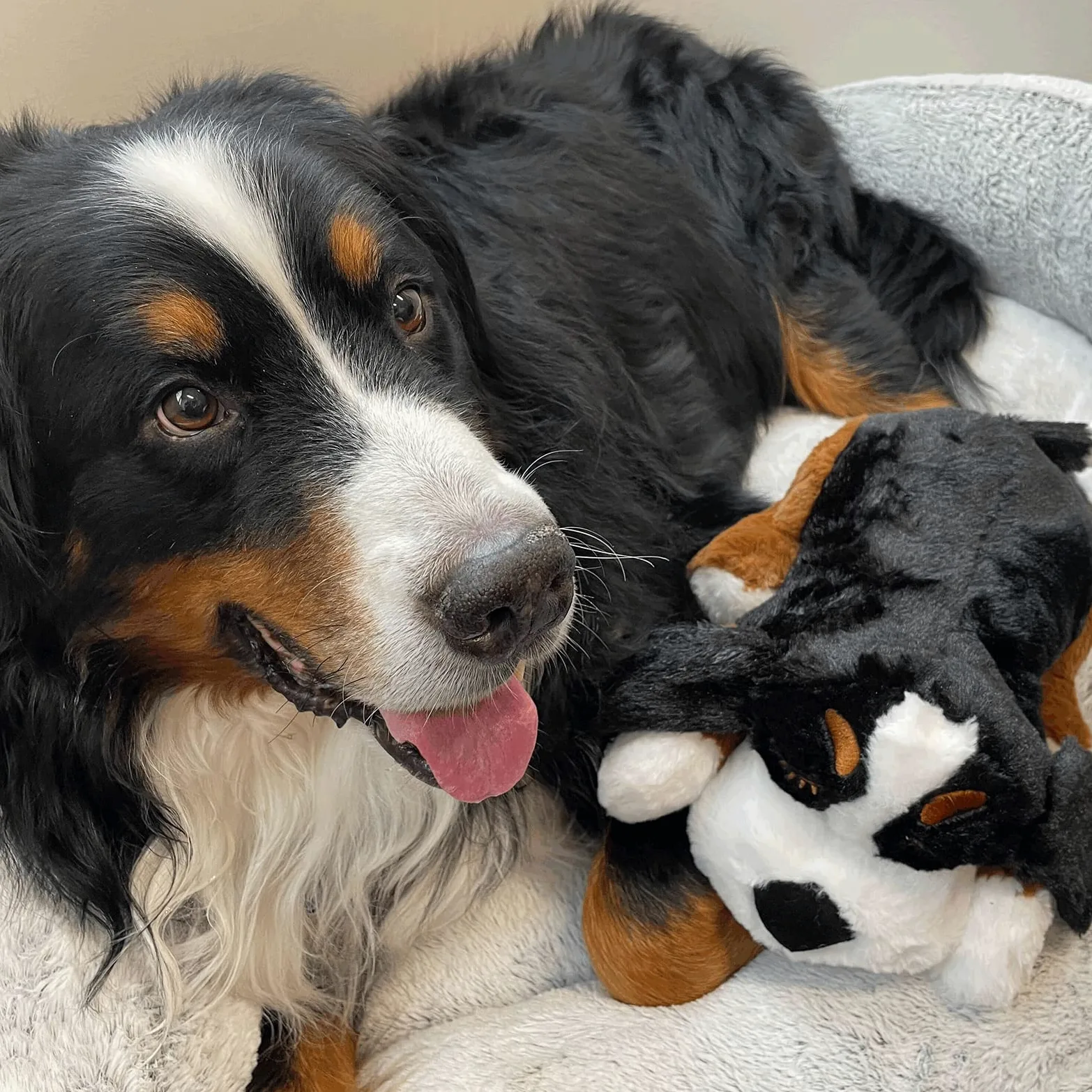 Snuggle Puppy Plus - Peluche para Perros con 3 Bolsas Térmicas y Latido RealFeel Activado por Movimiento. Juguete Antiestrés y Calmante para el Adiestramiento (Boyero de Berna)