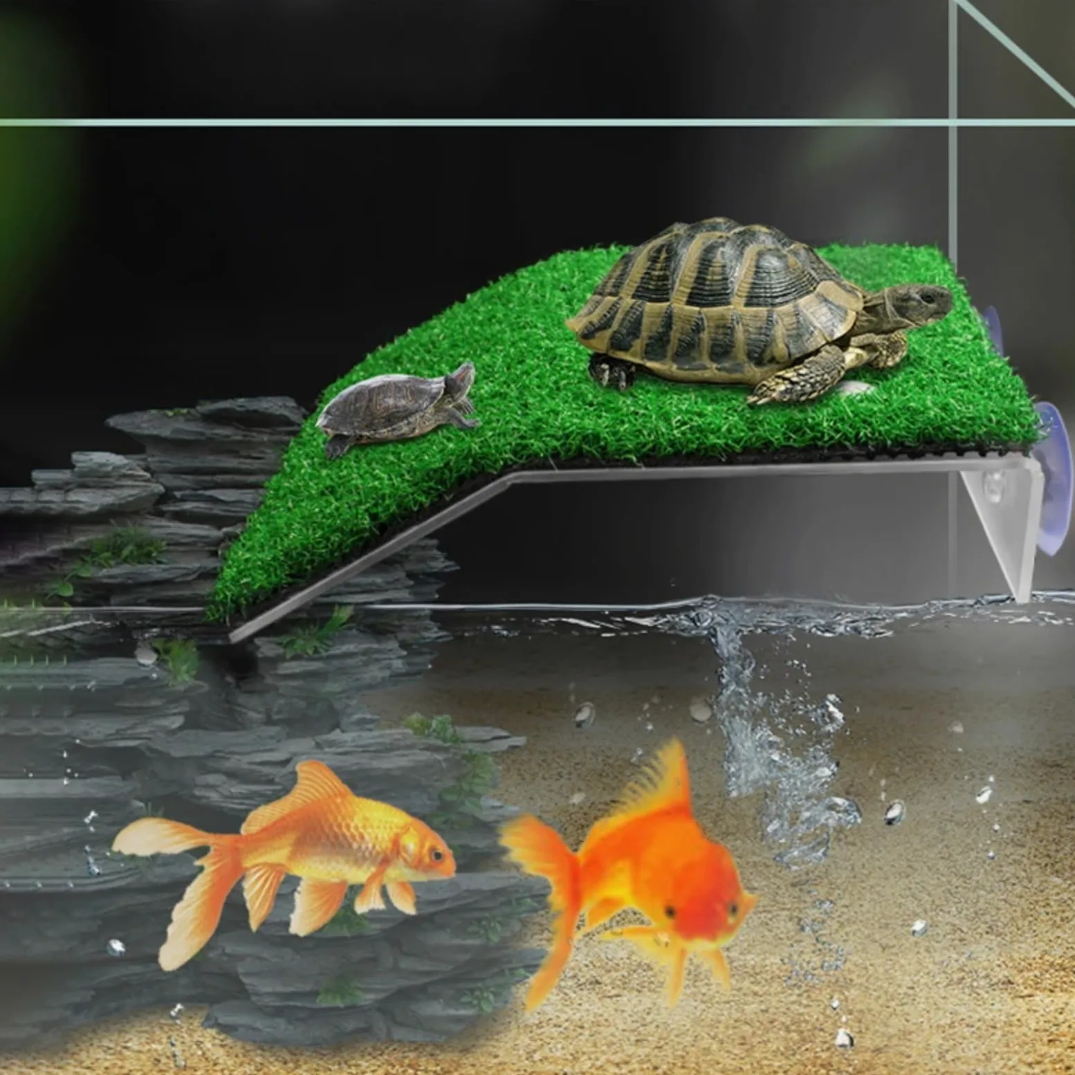 Turtle Basking Platform - Rampa de césped artificial flotante | Accesorio de terrario para reptiles y anfibios | PP no tóxico con ventosas fuertes S/M/L