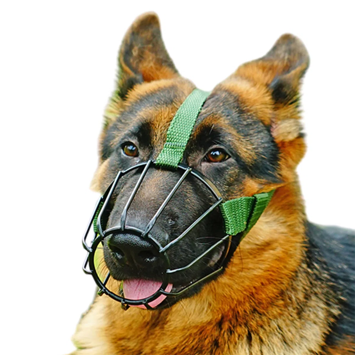 Bozal para Perros, Bozal de Malla for Cachorros, bozal for Perros Grandes, Protector for, Ajustable, Permite jadear y Beber, Gran Orificio respiración(No. 5)