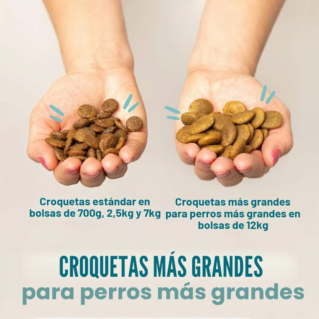 Edgard & Cooper - Comida Seca para Perros Senior (Pollo y salmón, 12 kg), Comida Seca sin Cereales sin azúcar, Ingredientes Naturales, Carne Fresca, Llena de aminoácidos