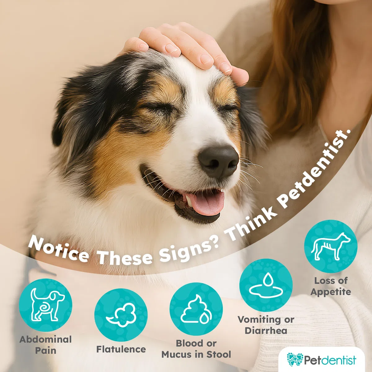 100% natural 500g probióticos con alto contenido de fibra para perros y gatos CoQ10, vitamina C, aminoácidos, minerales, enzimas ideal para la salud dental, cardiaca y digestiva