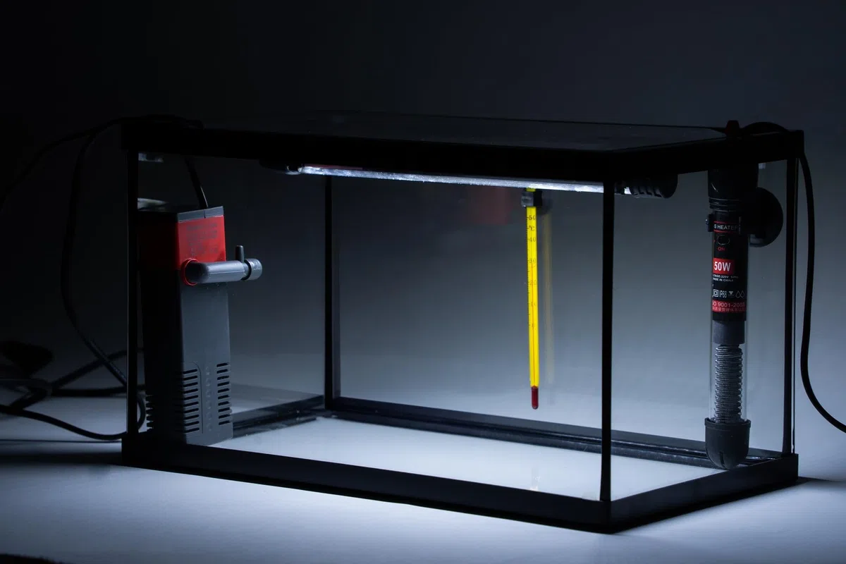 Acuario Cristal con Marco Negro 20 L. Kit Completo (XIL)