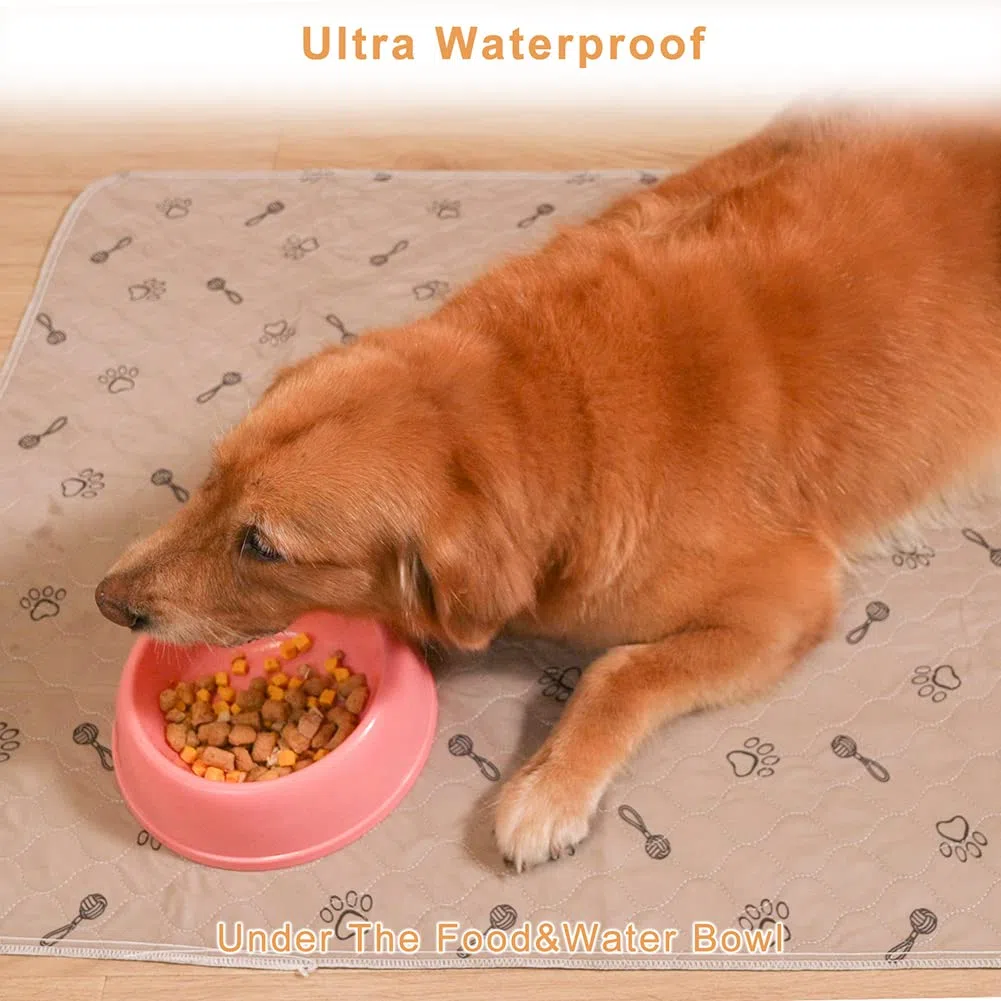 peepeego Almohadilla Extra Grande para Perro, Lavable y Gratis, Almohadilla Reutilizable para Cachorros con absorción rápida, Impermeable, Alfombra Antideslizante Entrenamiento y