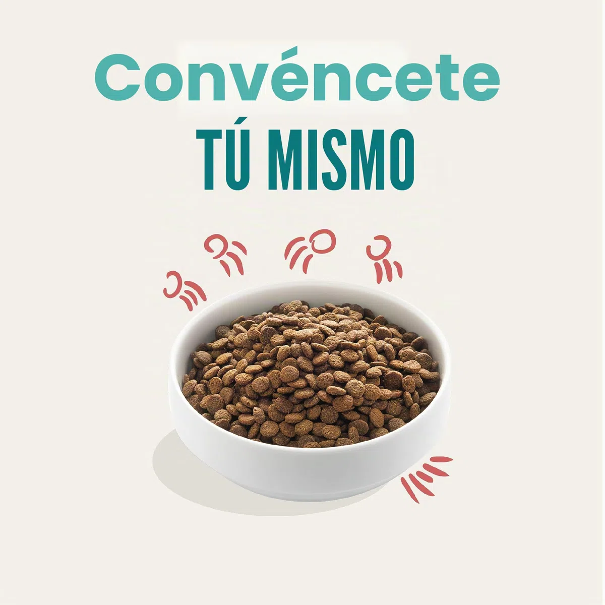 Edgard & Cooper - Comida Seca para Perros Senior (Pollo y salmón, 12 kg), Comida Seca sin Cereales sin azúcar, Ingredientes Naturales, Carne Fresca, Llena de aminoácidos