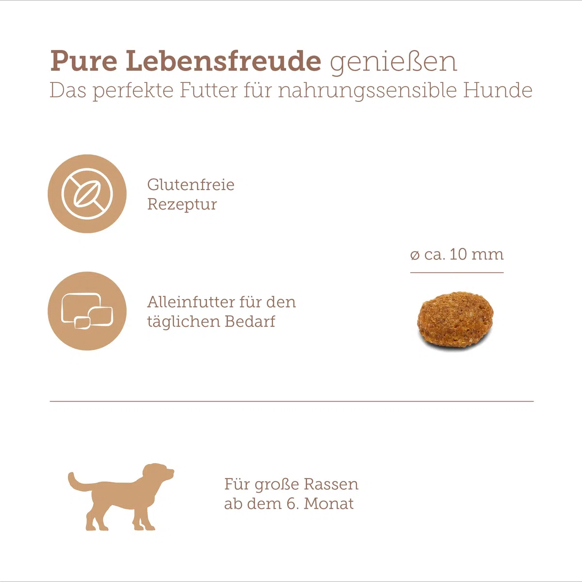 MERA Pure Sensitive Junior con Pavo y arroz (12,5 kg), Comida para Cachorros de fácil digestión para Perros jóvenes de Razas Grandes a Partir del 6º Mes