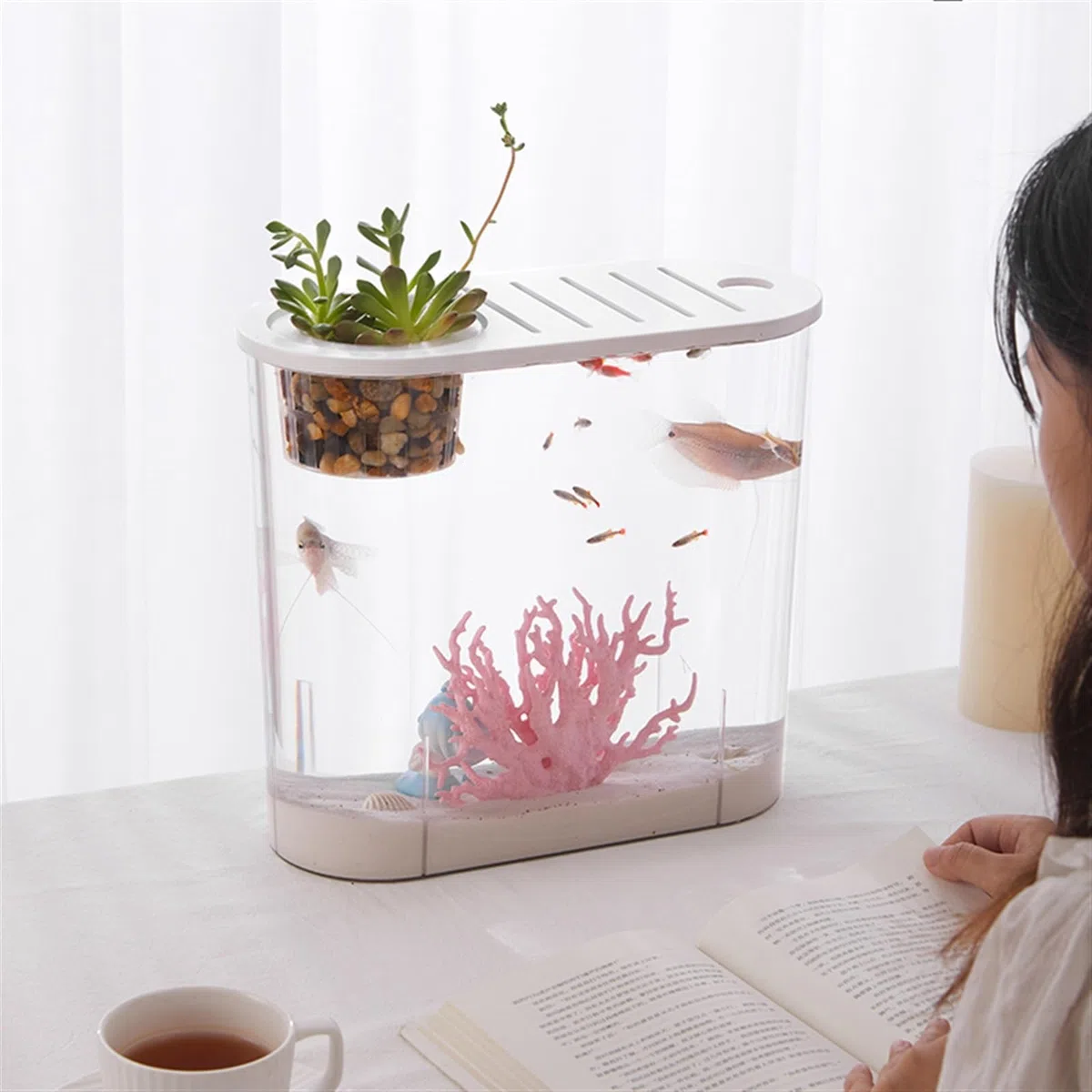 Acuario Pecera Pequeña Micro Paisaje Transparente Pecera Grande Ecológica Hogar con Tapa Escritorio Ovalada se Pueden Plantar Plantas Acuáticas Peces Acuario(Grande)