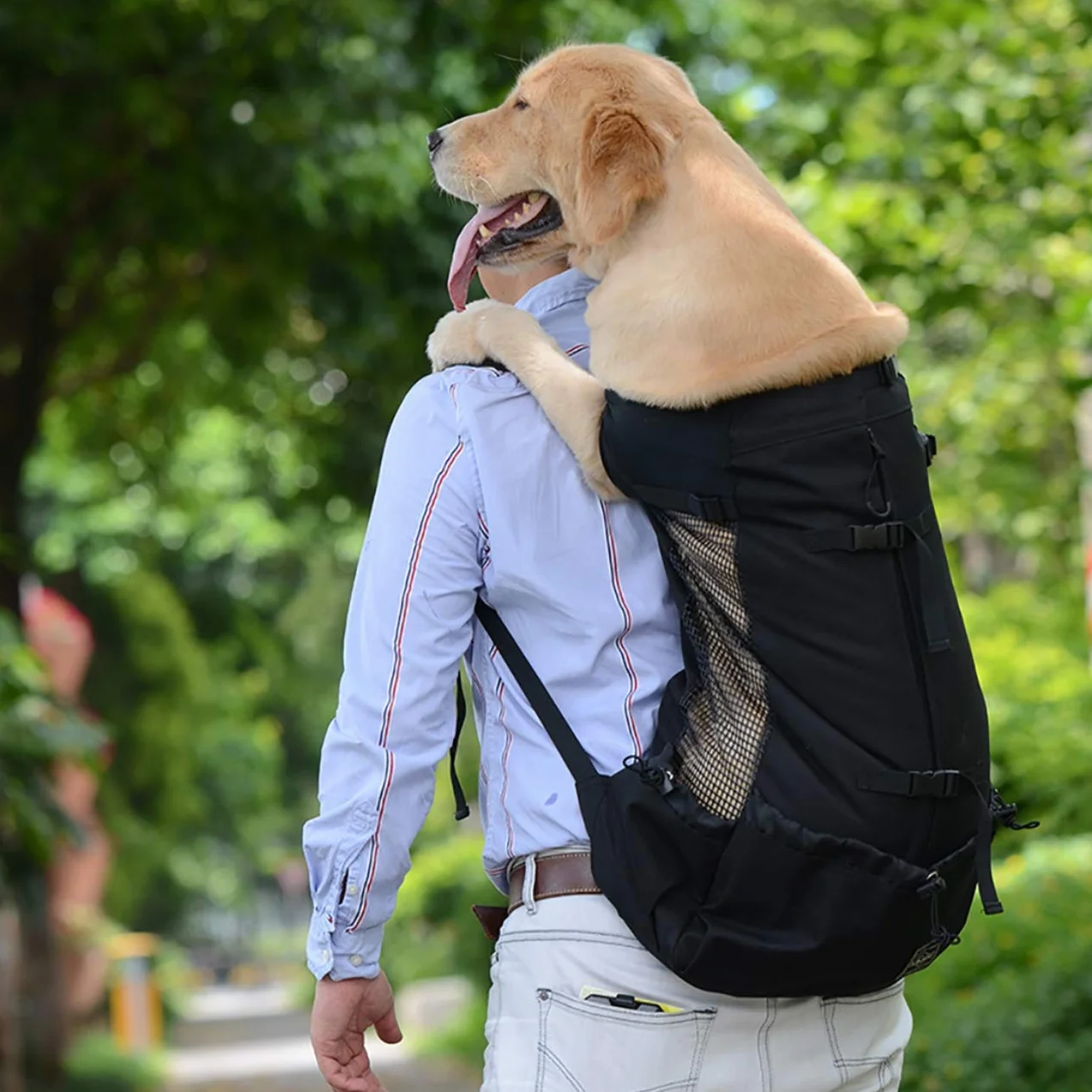 Woolala Mochila ligera para transportar mascotas para perros pequeños y medianos, bolsa segura aprobada por veterinarios para viajes, fácil de llevar, ahorra espacio, color negro, XL