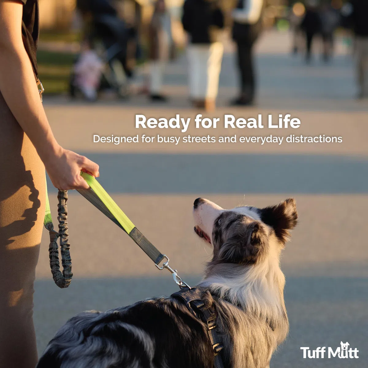 Tuff Mutt Correa de Perro Manos Libres, una Correa para Correr para Perros Que es una Gran Correa de Cintura para pasear Perros, Correa elástica de Doble asa con Costuras Reflectantes y cinturón