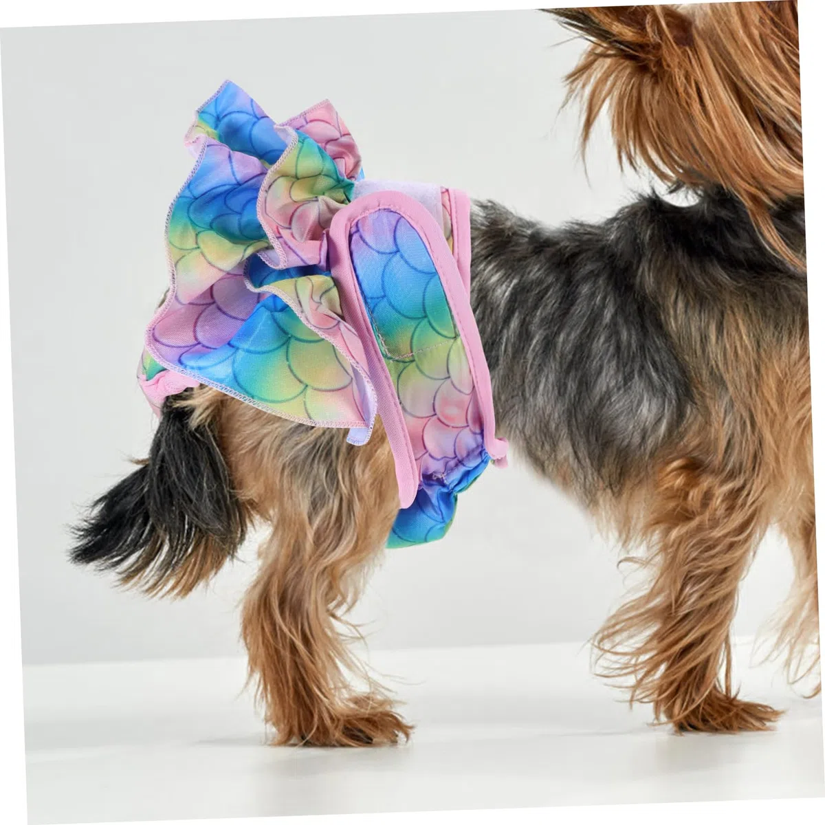 minkissy 4 Pantalones fisiológicos para Mascotas, para Perros machos, Pantalones de acoso para Perros, Pantalones físicos para Perros, Bragas sanitarias para Mascotas, Pantalones de Calor para
