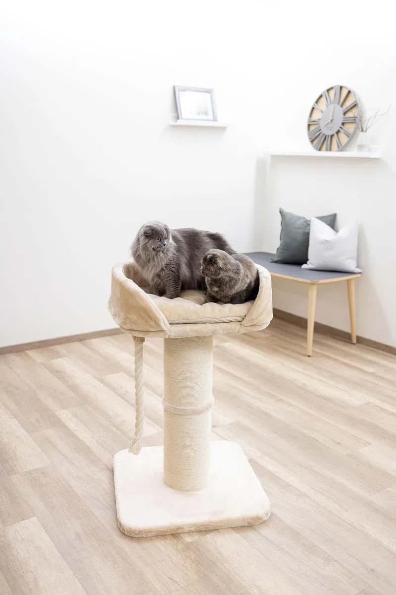 Kerbl Pet Árbol rascador Toni XL, rascador para Gatos, Beige, 58x58x93 cm, Estable y Resistente, para Gatos Maine Coon, rascador Robusto de sisal Natural