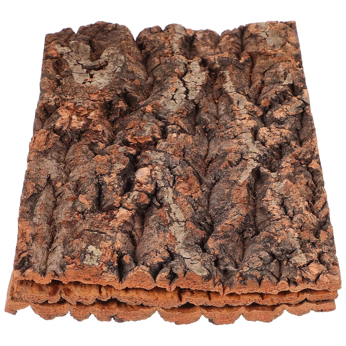 SHINEOFI 3 Piezas de Corteza de Árbol para Reptiles 30x20 Cm, Plataforma Natural para Trepar y Decorar Terrarios, Adorno Seguro y Duradero para Lagartos, Geckos y Dragones Barbudos
