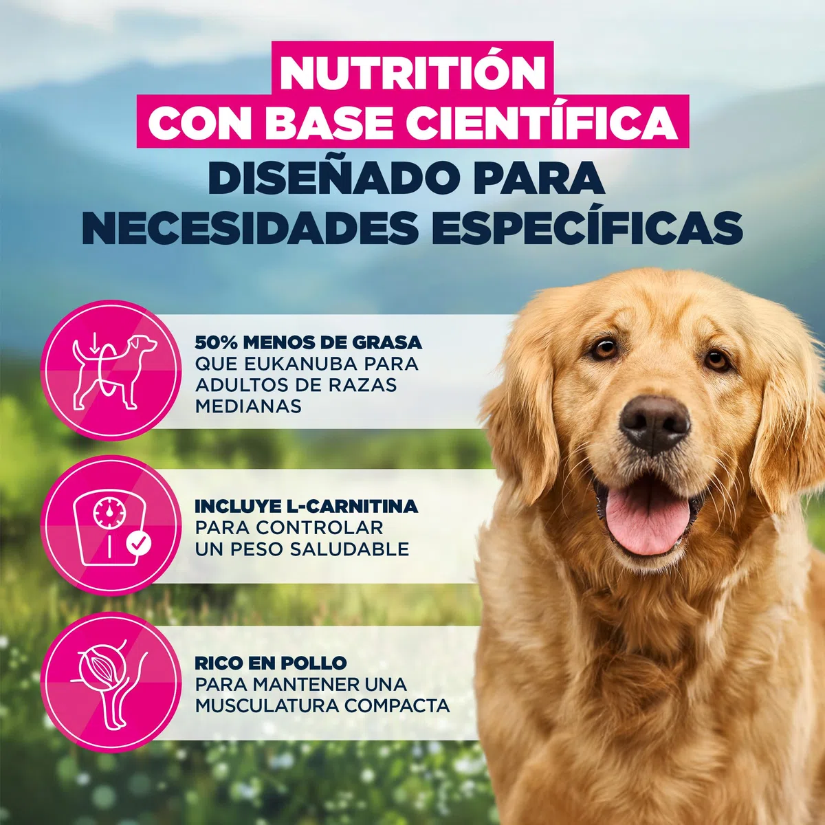 EUKANUBA Overweight - Alimento Dietético para Perros, Pollo, 12kg | Special Care | Bajo en grasa | Para la reducción del peso | Tendencia al sobrepeso
