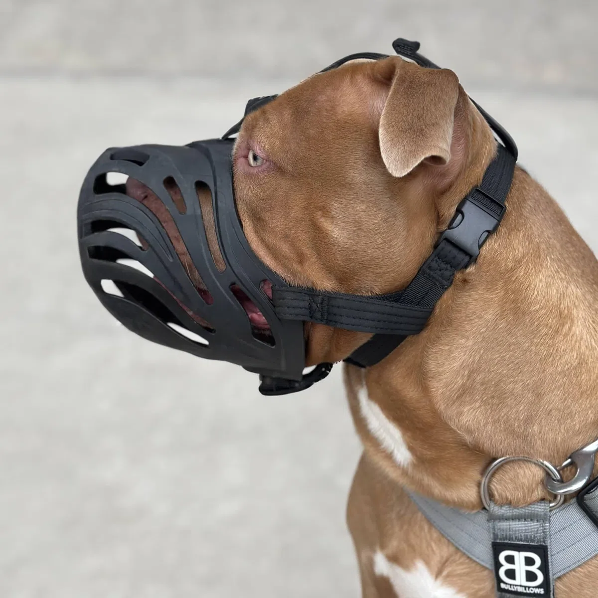BullyBillows Bozal de perro | Bozal de seguridad flexible para perros para evitar mordeduras y carroñeros, cómodo material TPE, correa ajustable, diseño transpirable para perros pequeños a grandes