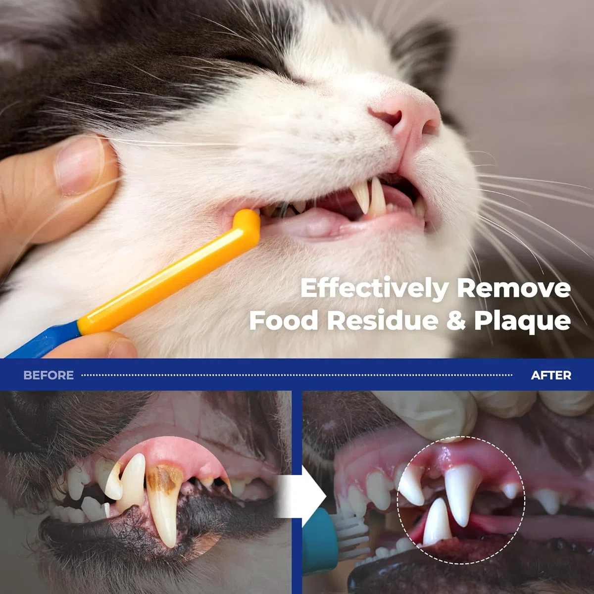 PETHROOM Sala de pesos, gatos, perros, cepillo de dientes, punta profunda, para control centralizado, cabeza redonda, ultraligero, eliminación segura del sarro, ultra pequeño, tamaño XS