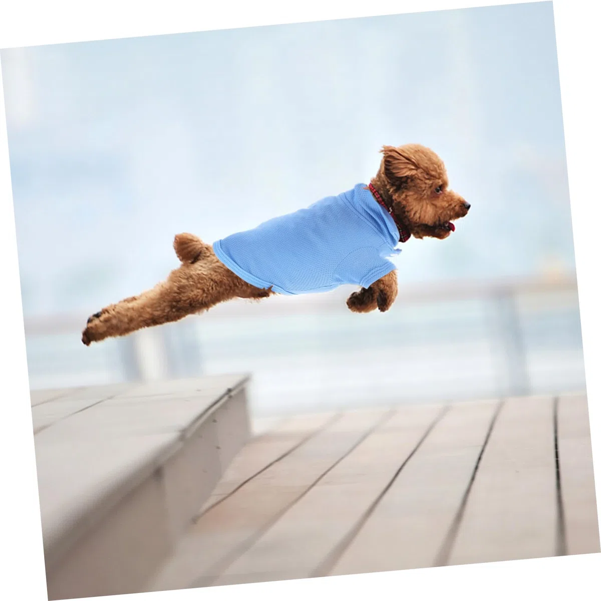 BESPORTBLE 12piezas Camiseta para Perros Pequeños Ropa Transpirable y Cómoda para Mascotas De Brillantes XS para Verano y Fiestas