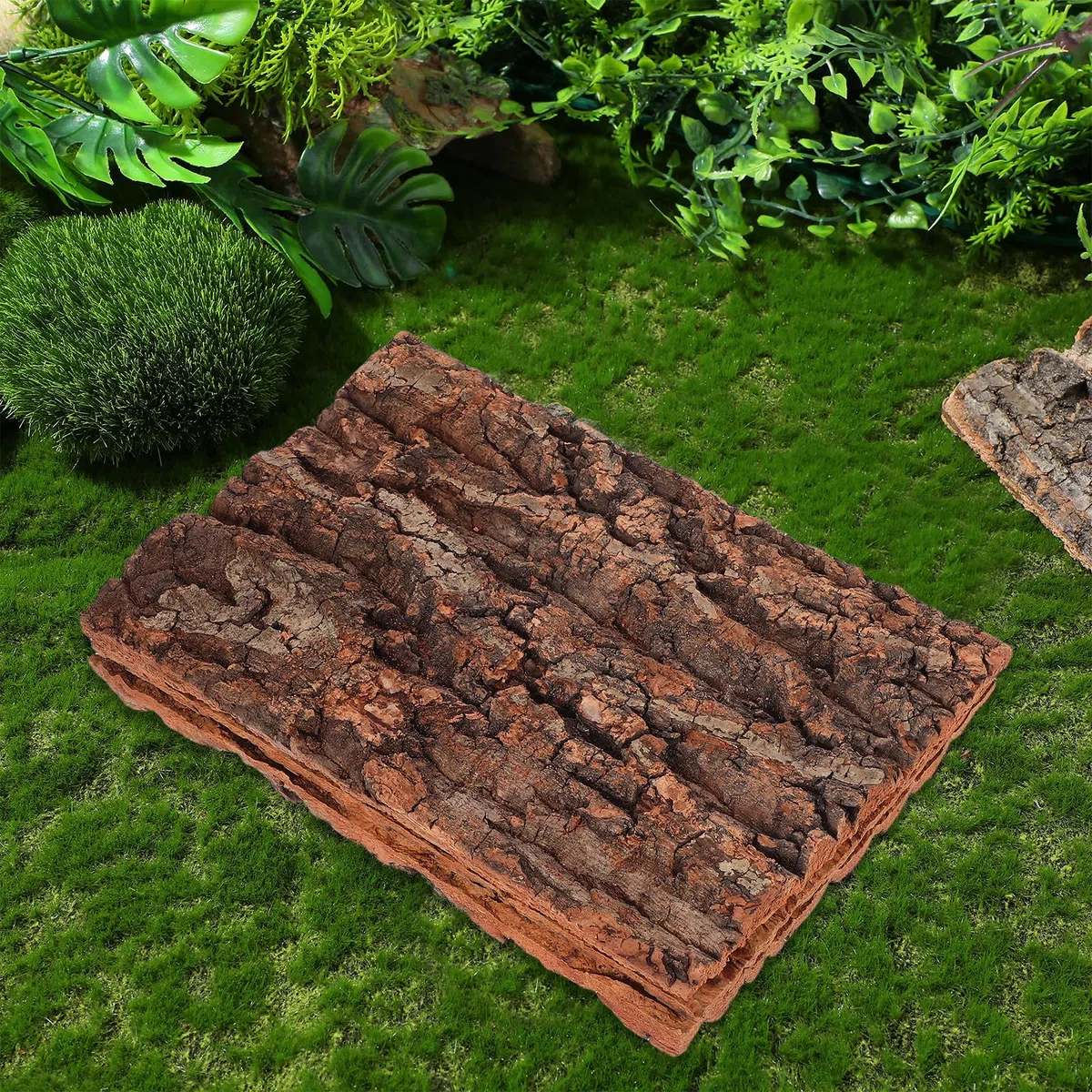 SHINEOFI 3 Piezas de Corteza de Árbol para Reptiles 30x20 Cm, Plataforma Natural para Trepar y Decorar Terrarios, Adorno Seguro y Duradero para Lagartos, Geckos y Dragones Barbudos