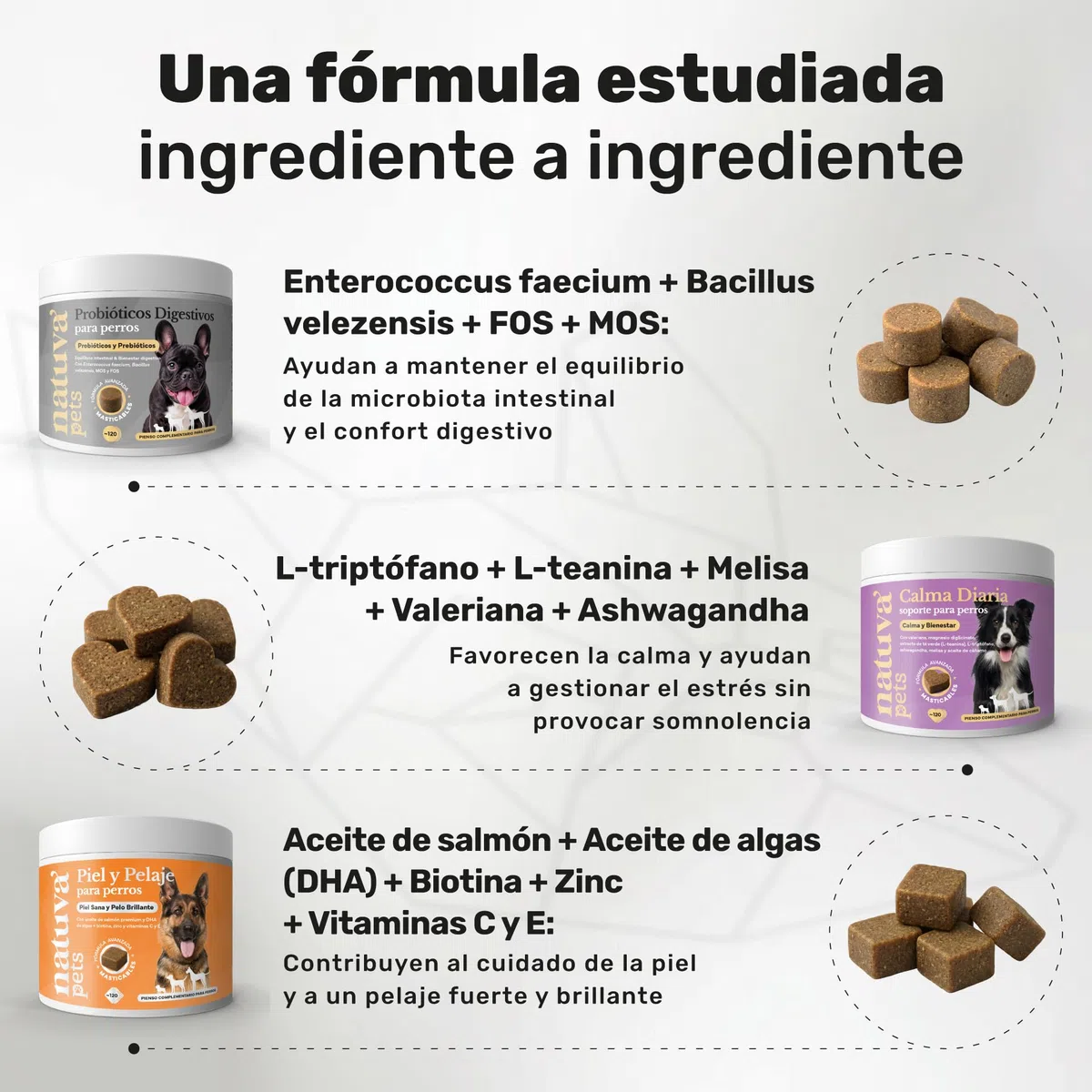 Probiótico + Calmante + Aceite de Salmón para Perros - Pack de Suplementos para Digestión, Flora Intestinal, Estrés, Ansiedad, Piel y Pelaje - Natuva Pets
