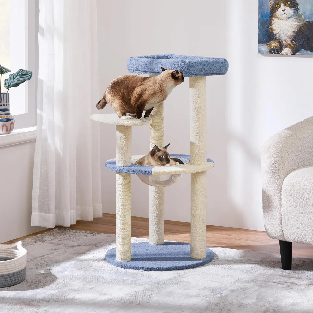 Yaheetech Árbol Rascador para Gatos 90 cm con Soporte Centro Azul y Beige | Cesta Redonda Transparente, Perca superior, Plataforma en forma de paz, Poste sisal resistente,Fácil montaje, Ahorra espacio