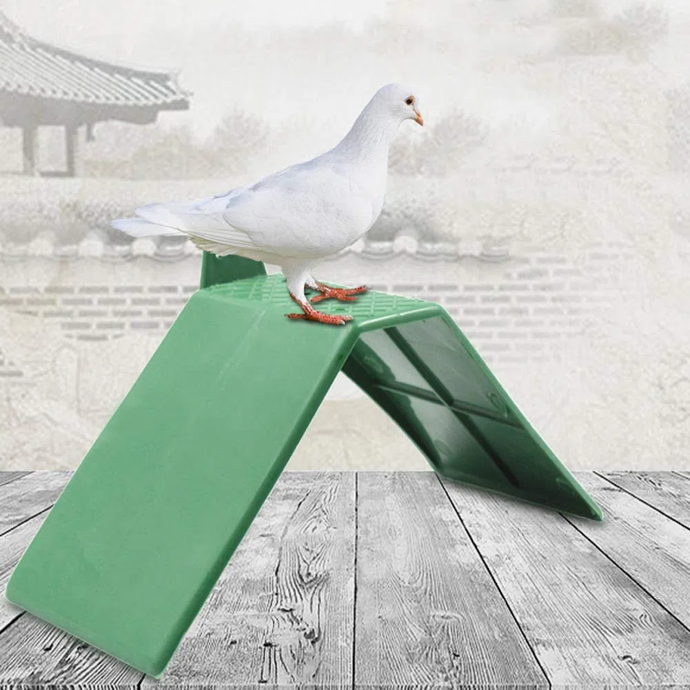 10 Piezas Soporte Descanso Palomas Pl¨¢ Perchas Vivienda Aves