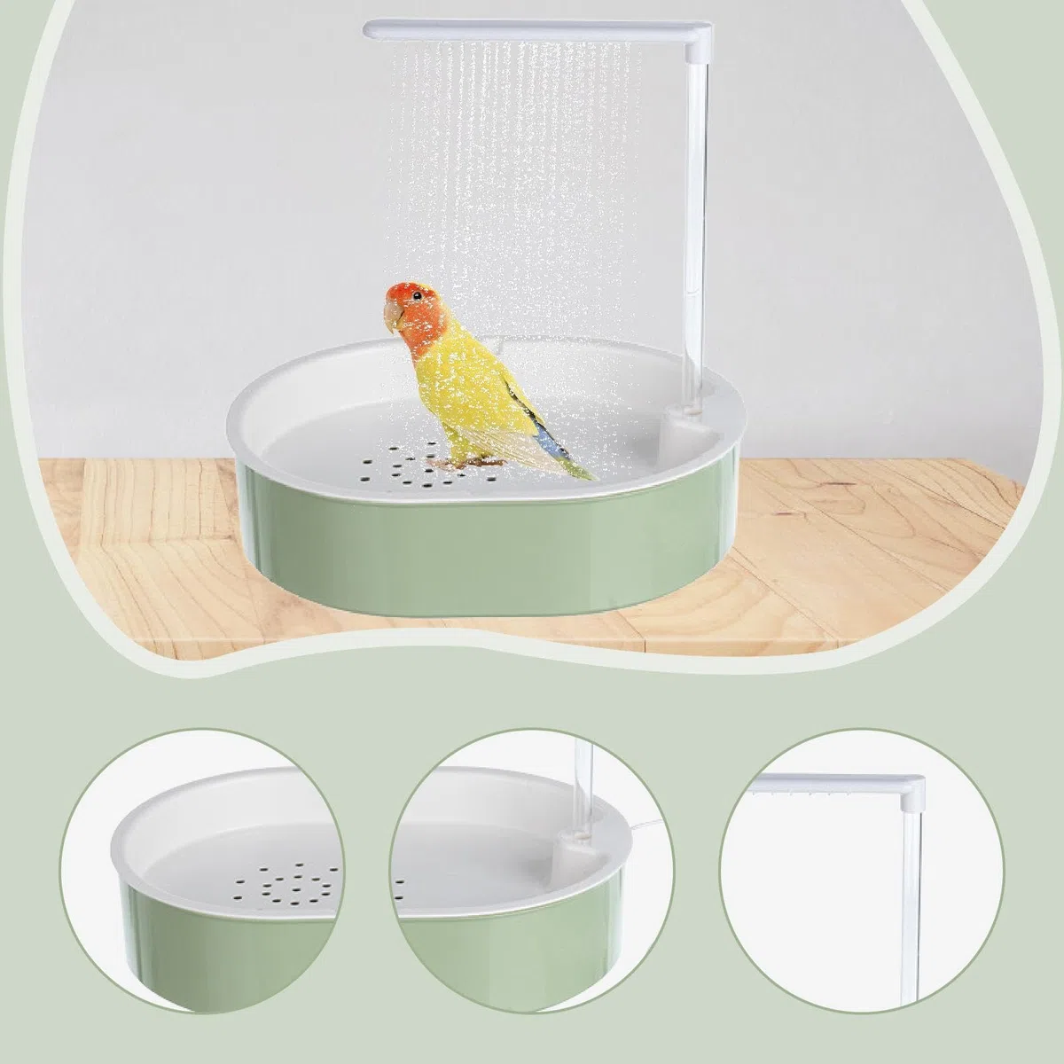 Bañera Automática para Loros con Bomba para Loros Y Cotorras (para Exteriores).