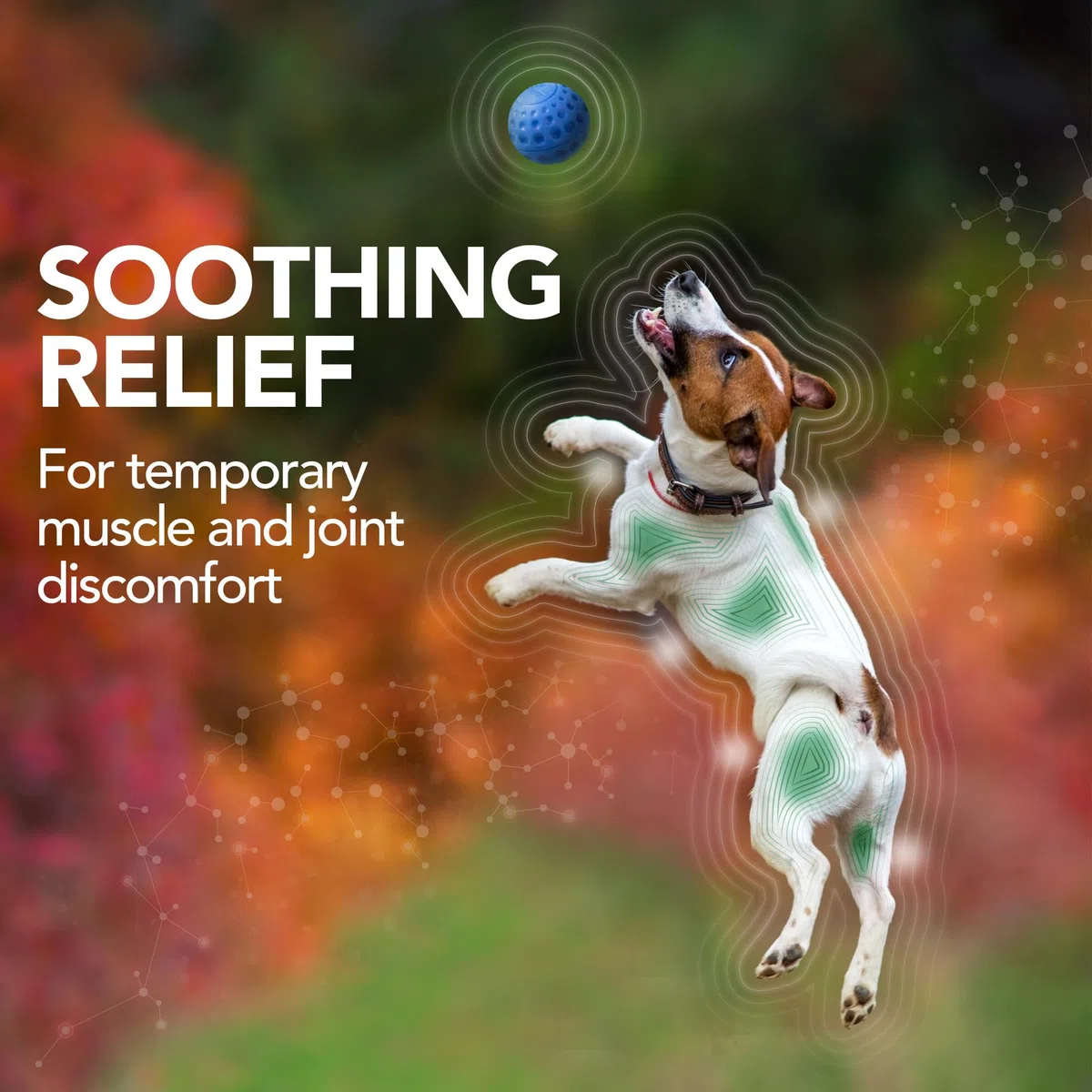 Vet's Best - Suplemento para aliviar el Dolor de Perros, fórmula Natural, sin aspirina